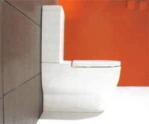 Toilettes Axa Vaso Monoblocco