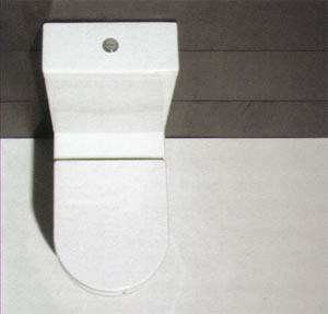 Toilettes Axa Vaso Monoblocco