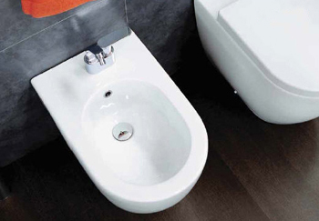 Toilettes Flaminia Link