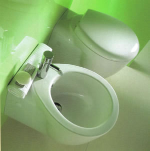 Toilette, Douches