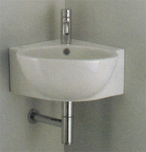 Vasques