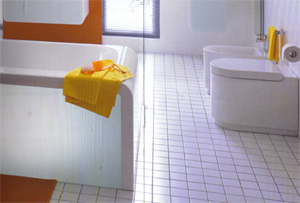 Toilette, Lavabos à poser, Vasques