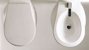 Toilettes NIC Design Pillow
