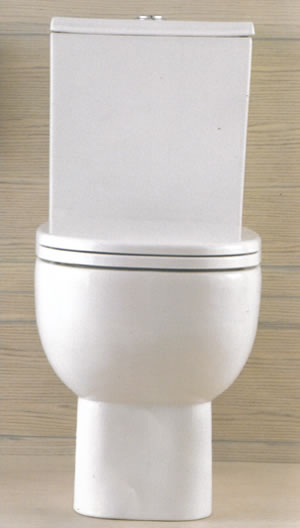 Toilettes bidets, Salles de Bains, robinets et mélangeurs et accessoires