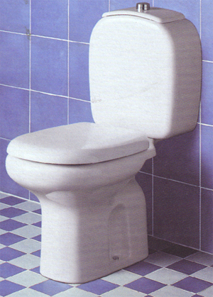 Toilette, Lavabos à poser, Vasques