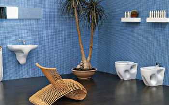 Toilettes Flaminia Void