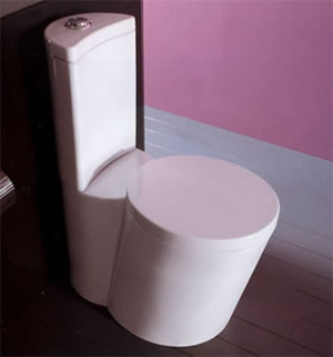 Toilette Vitruvit Wind