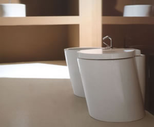 Toilette Vitruvit Wind